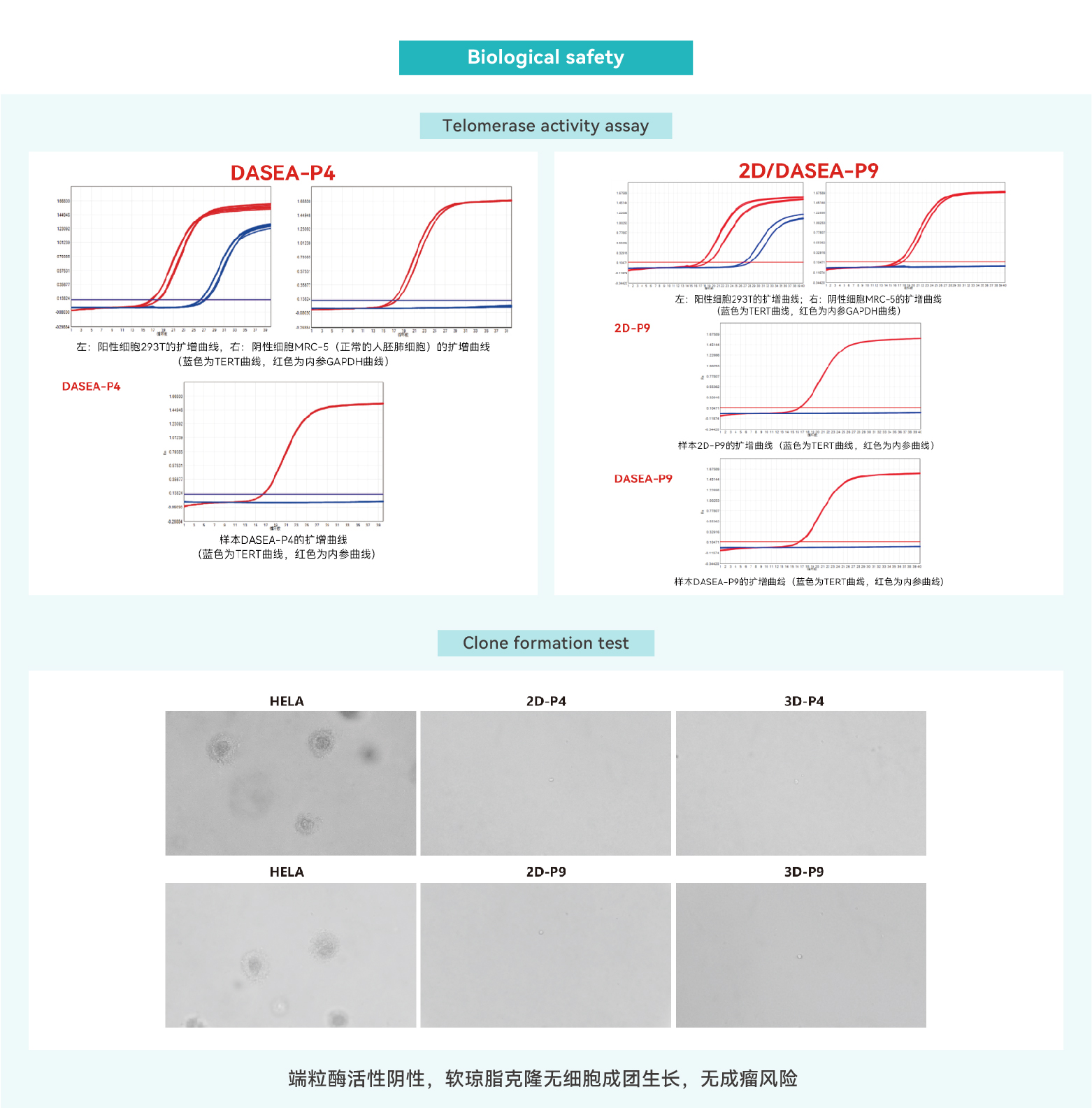 三维干细胞大规模制备应用方案-英文-04.jpg