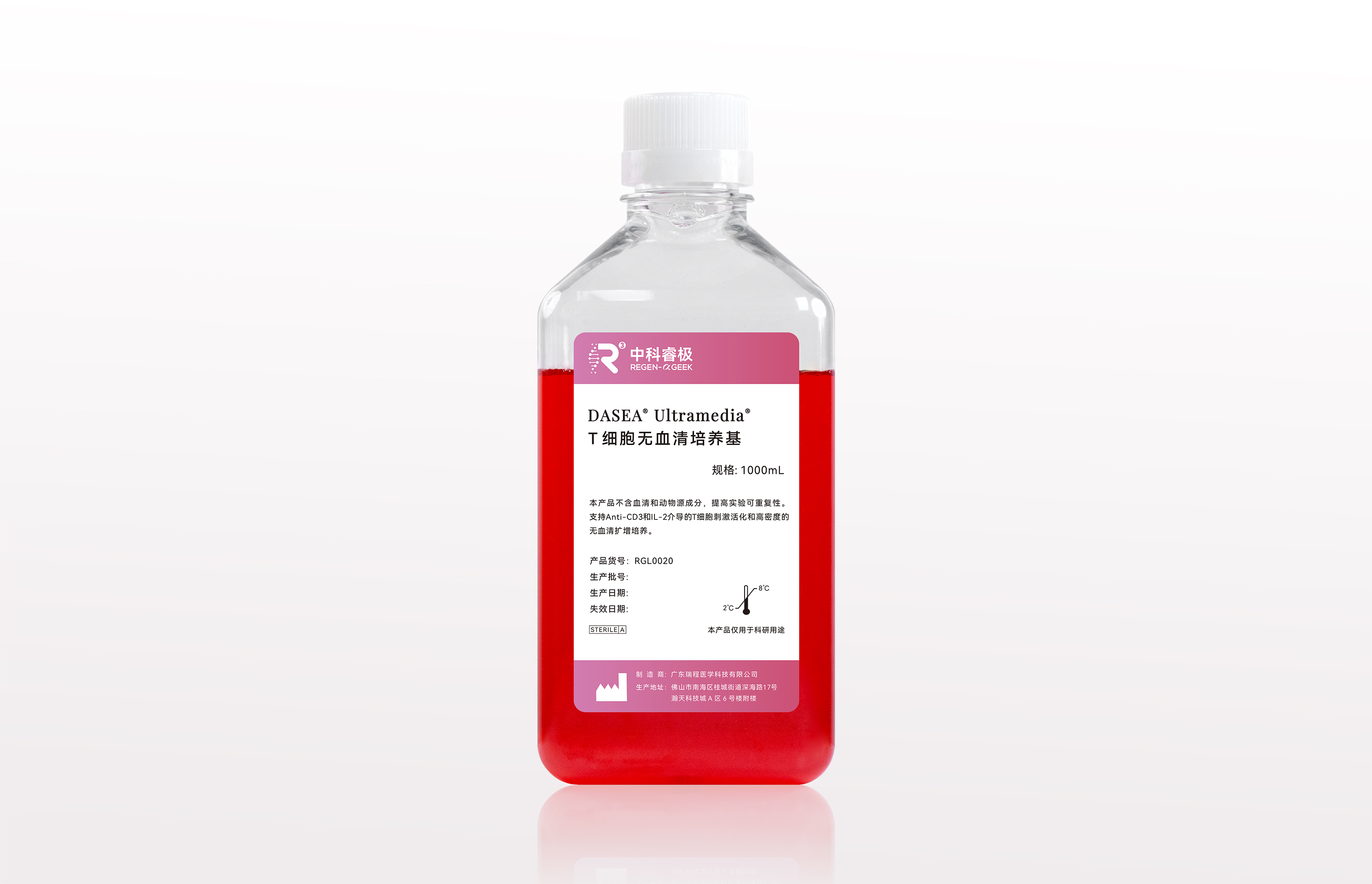 T细胞.jpg