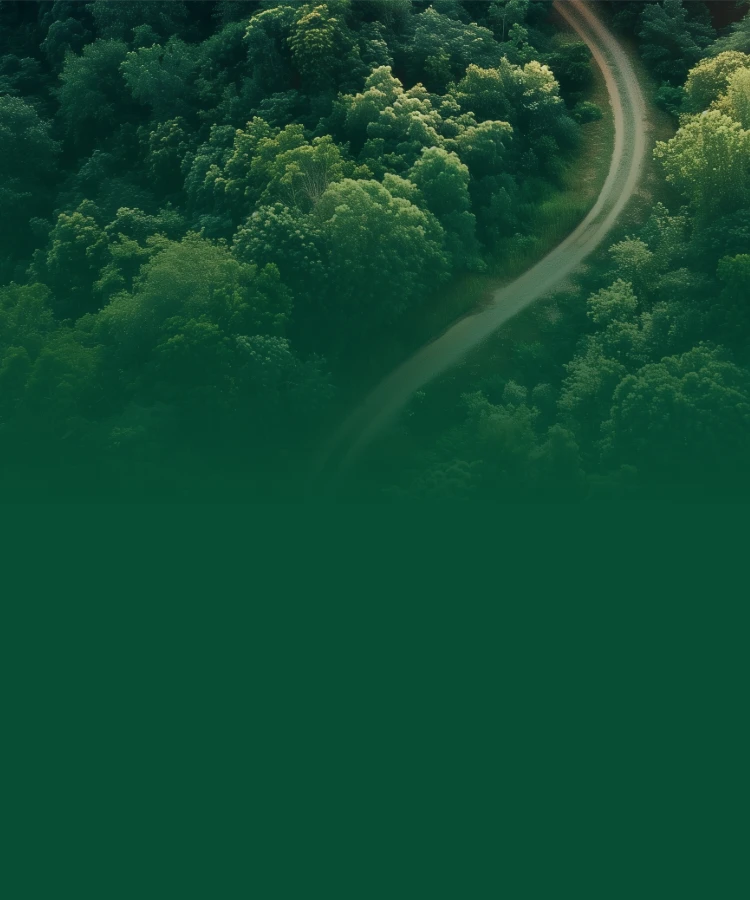 Sustainability