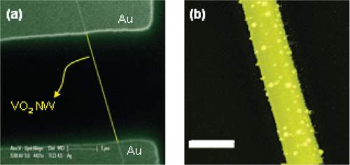 Pd-sensitized single vanadium oxide nanowires: highly-responsive hydrogen sensing based on the Mott transition