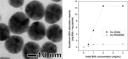 One-pot facile synthesis of PEGylated Au nanoparticles in an aqueous media