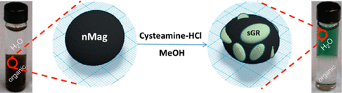 A novel, reactive green iron sulfide (sulfide green rust) formed on iron oxide nanocrystals