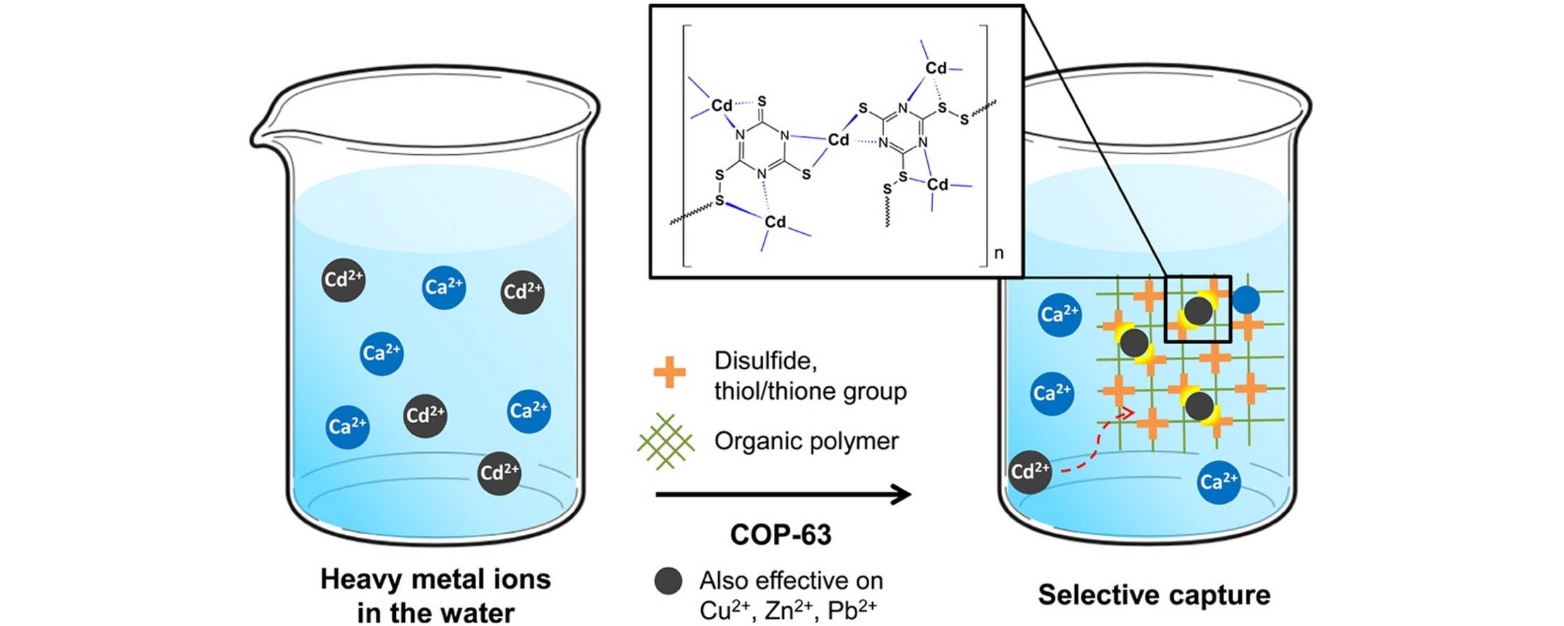 Selective removal of heavy metal ions by disulfide linked polymer networks