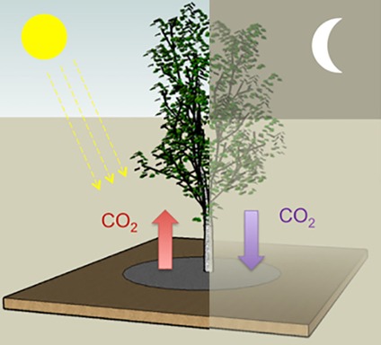 Carbon Dioxide Capture Adsorbents: Chemistry and Methods