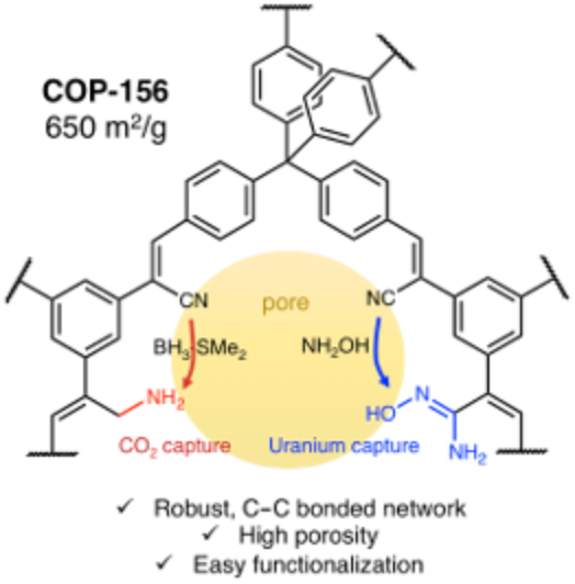 Robust C-C bonded porous networks with chemically designed functionalities for improved CO2 capture from flue gas