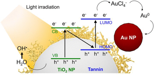 Direct Z-scheme Tannin-TiO2 Heterostructure for Photocatalytic Gold Ion Recovery from Electronic Waste