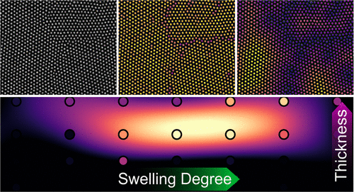 Solvent Vapor Annealing, Defect Analysis, and Optimization of Self-Assembly of Block Copolymers Using Machine Learning Approaches