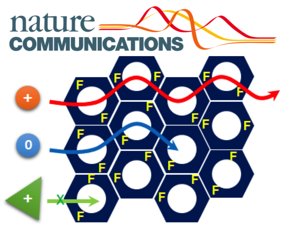 Charge specific size-dependent separation of water-soluble organic molecules by fluorinated nanoporous networks