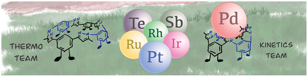 Asynchronous double Schiff base formation of pyrazole porous polymers for selective Pd recovery