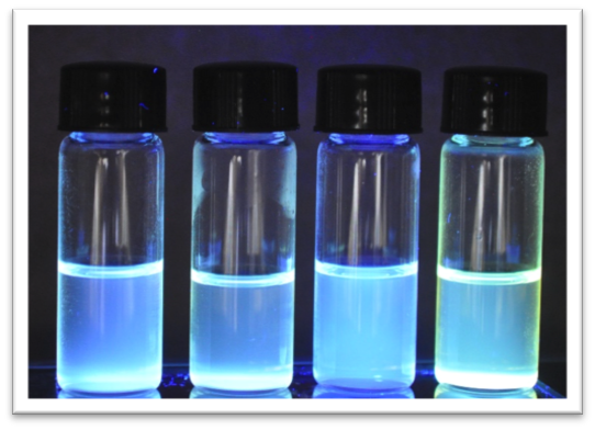 Covalent organic polymer framework with C-C bonds as a fluorescent probe for selective iron detection