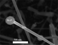 Phosphorus stimulated unidirectional growth of TiO2 nanostructures