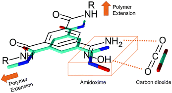 Amidoxime porous polymers for CO2 capture