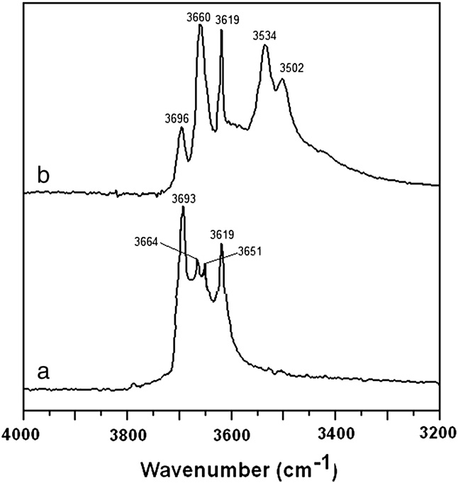 Influence of interlayer functionalization of kaolinite on property profile of copolymer nanocomposites