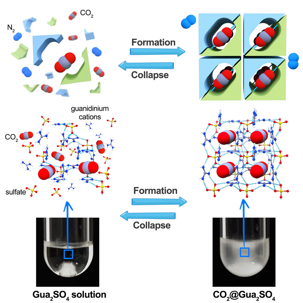 Synthesis of stable single-crystalline carbon dioxide clathrate powder by pressure swing crystallization