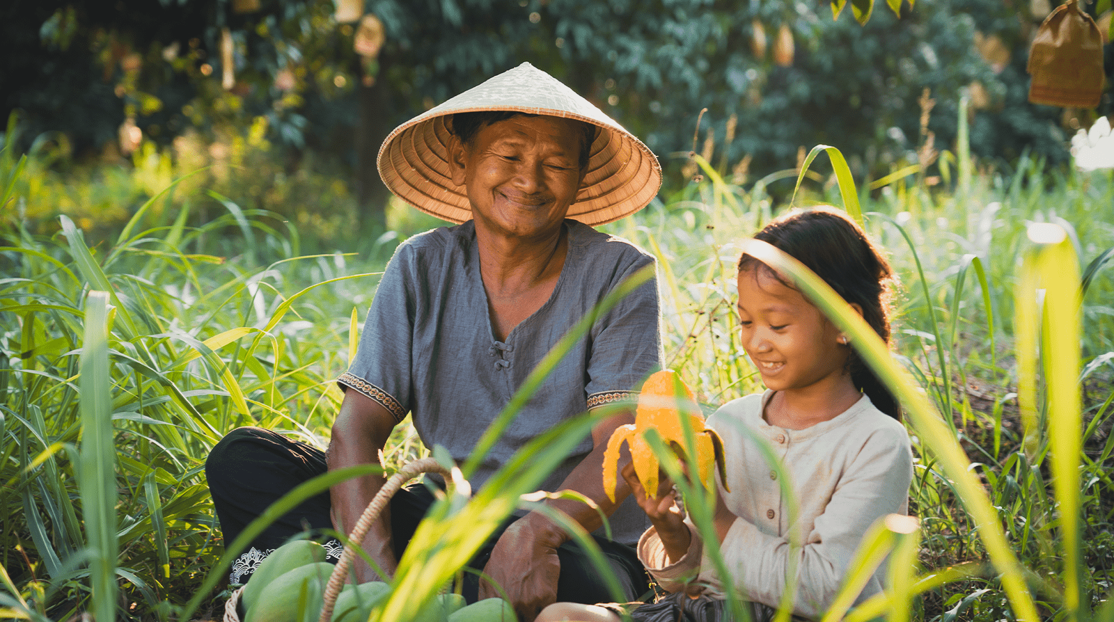 sharing mango-min-min.png