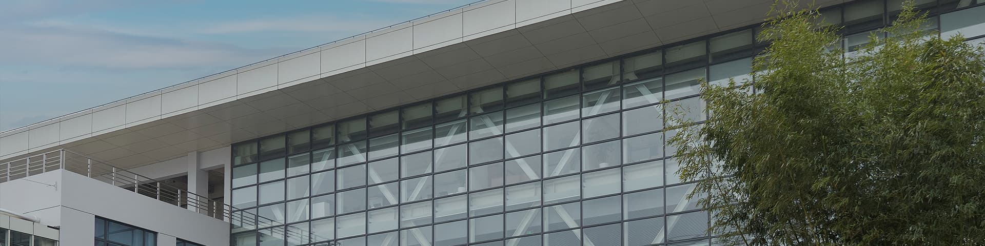banner-about.jpg