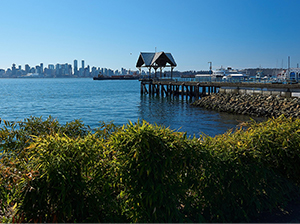 Commitment to Sustainability