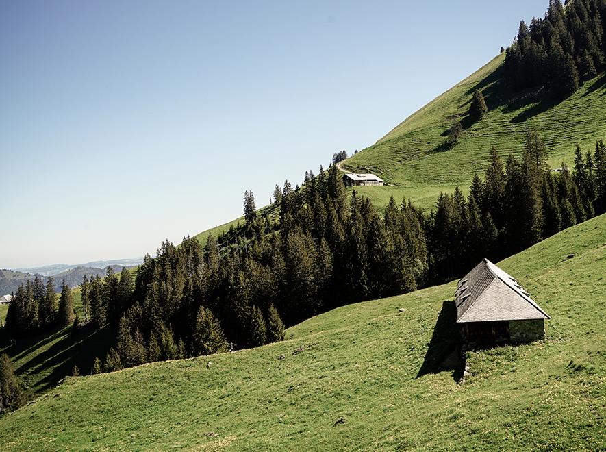 Sustainability & Community