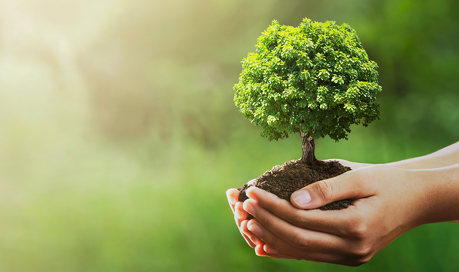 Sustainability & Responsibility
