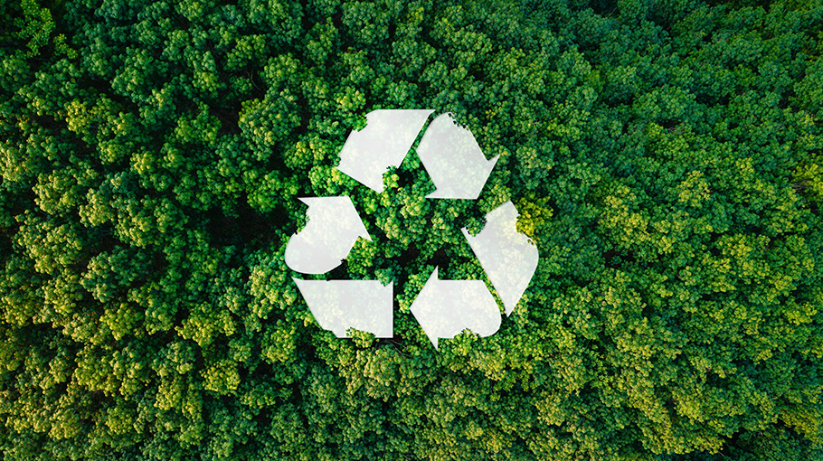 Eco-Friendly Materials