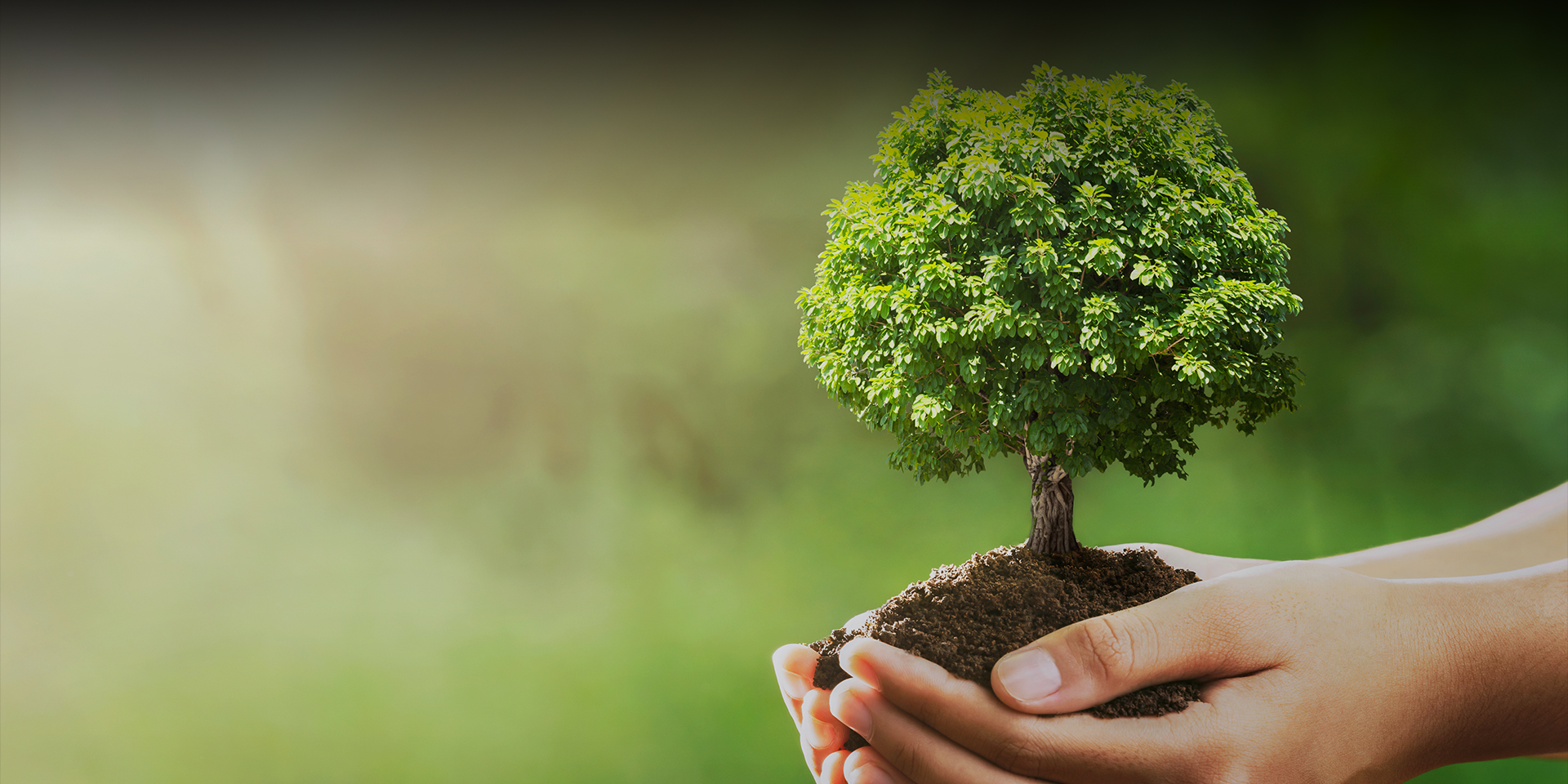 Sustainability & Responsibility