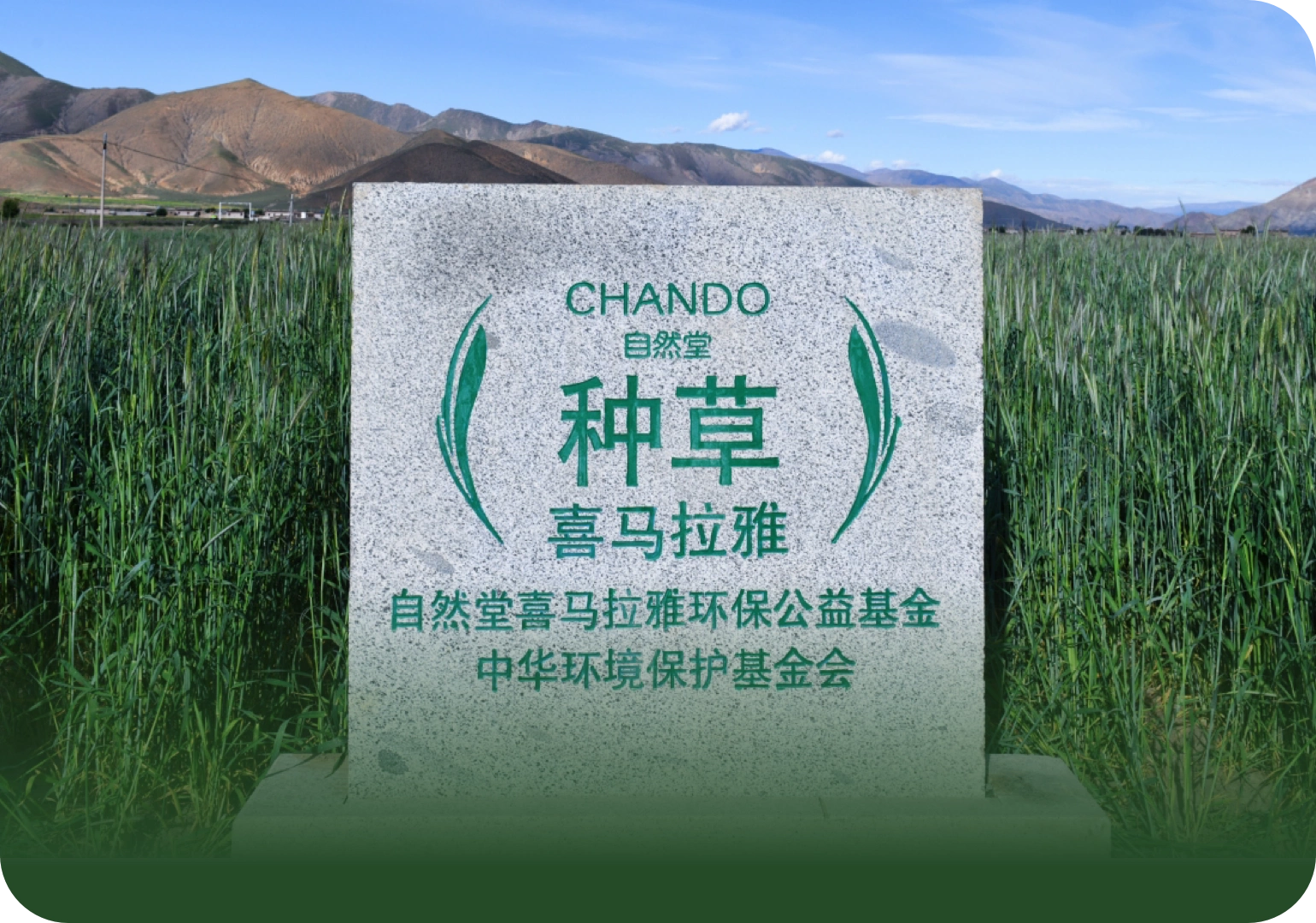自然堂可持续性发展喜马拉雅生物多样性保护项目